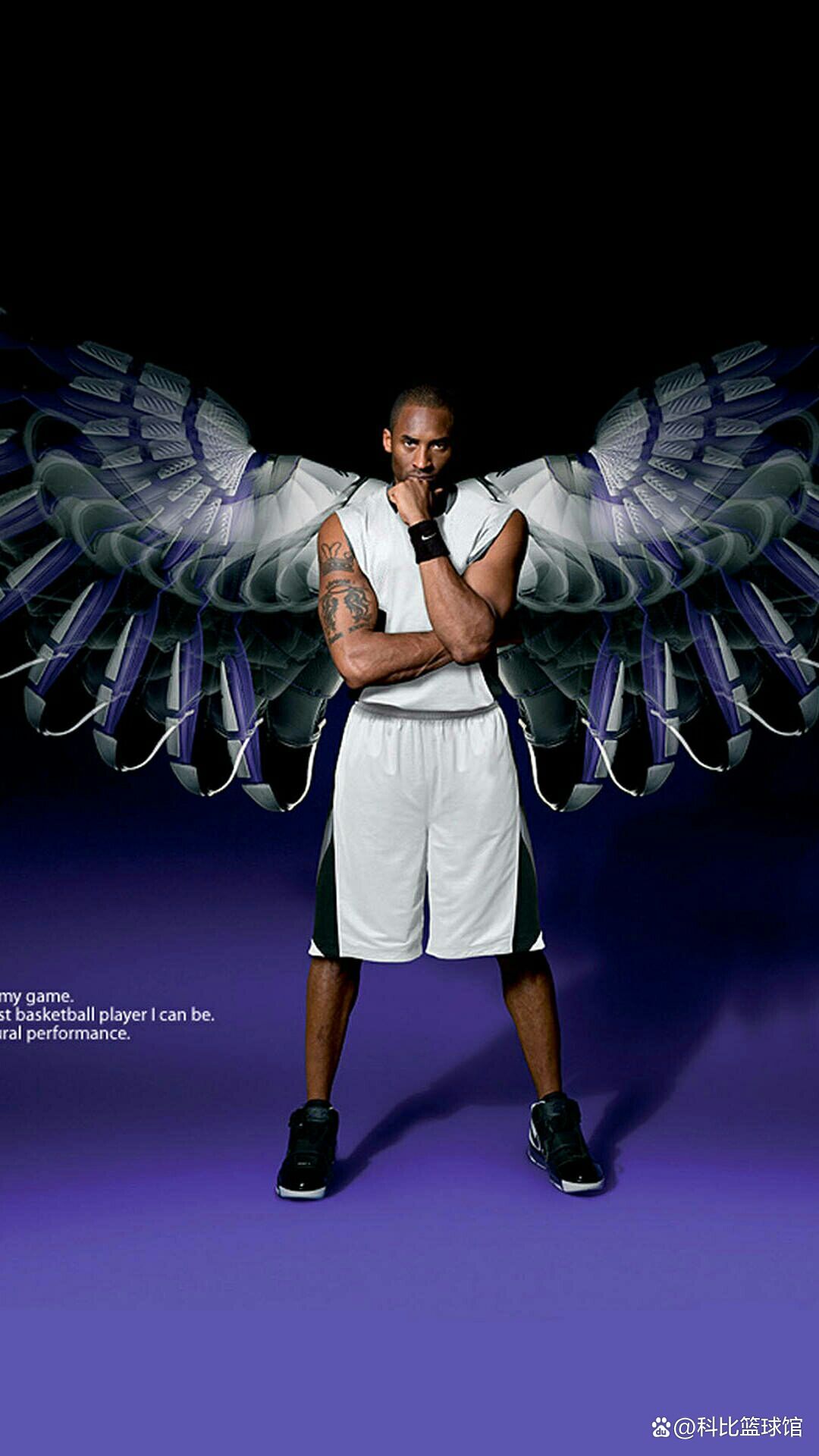 近年来一直 近年来一直